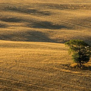 Unterwegs im Val d’Orcia